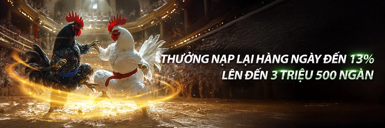 Đấu trường đá gà trực tuyến 97win97